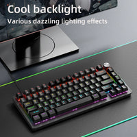 75% Mechanical Keyboard Wired with Media Knob, APAYADO Black Gaming Keyboard,Hot-Swap,ABS Cap Transparent Character Backlighting thumbnail