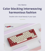 AJAZZ AK680 65% Wired Gaming Mechanical Keyboard Hot Swap Mini Keyboard Custom Keycap Gasket for Pc Laptop thumbnail